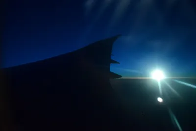 DSC_9793 (Large).JPG